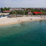 Maslina *